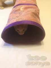 Туннель шуршащий для кошки